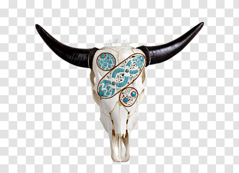 Cattle Turquoise Skull XL Horns - Xl Transparent PNG
