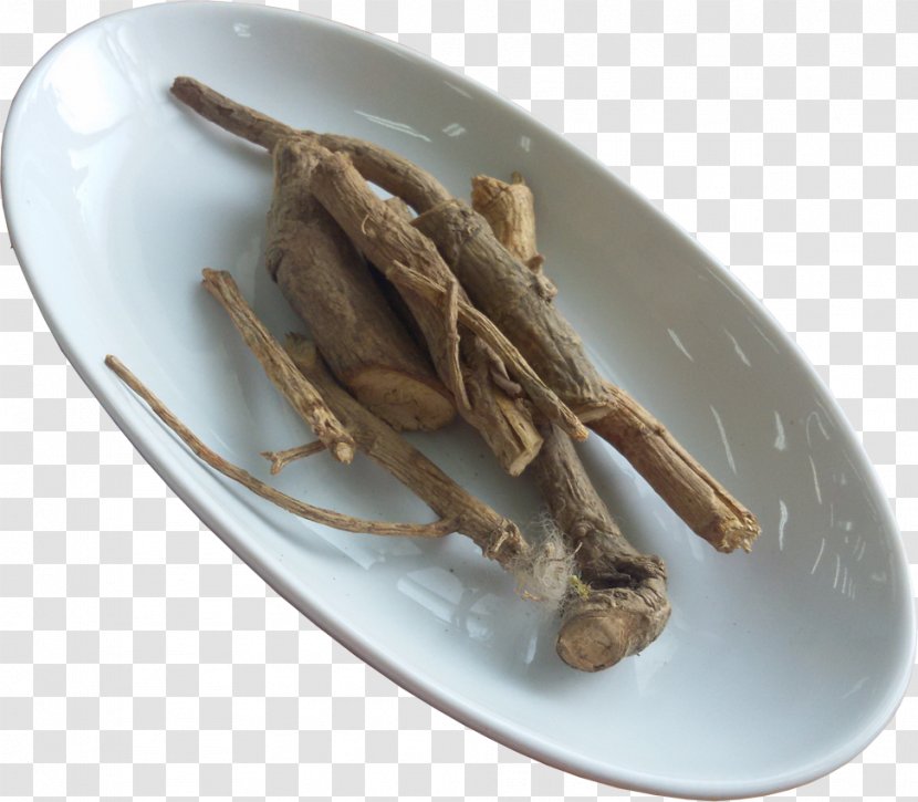 Ekofabrika Staroslav Online Shopping Medicinal Plants - Recipe - Oplopanax Elatus Transparent PNG