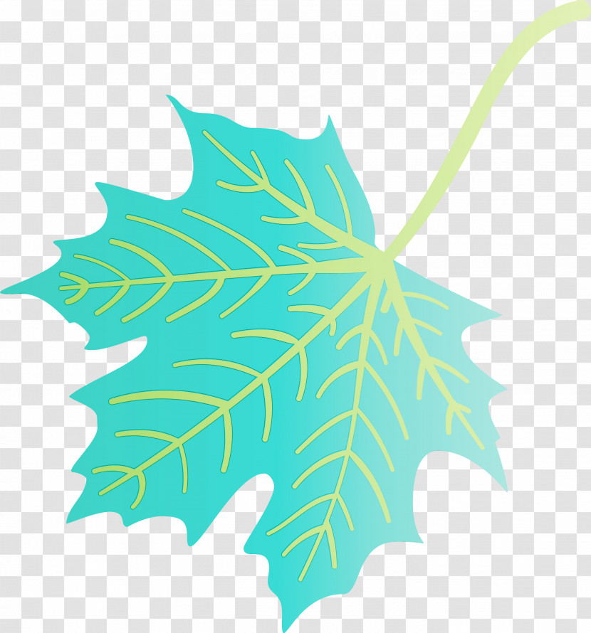 Plant Stem Leaf Green Line Plants Transparent PNG