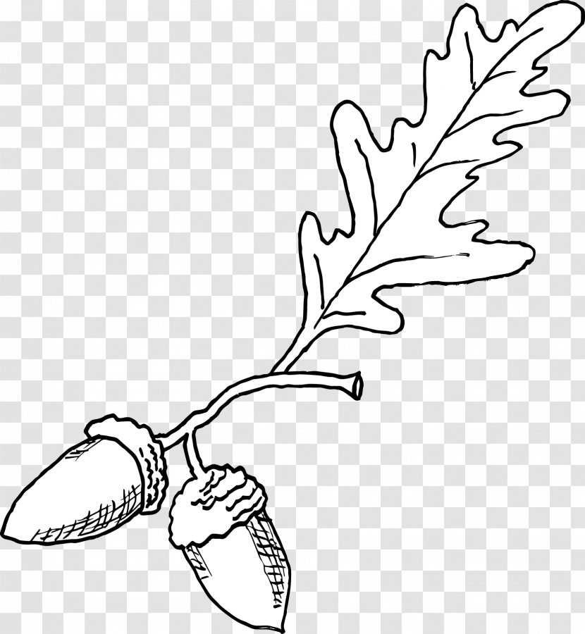 Line Art Plant Stem Cartoon Clip - Silhouette - Doodle Fill Transparent PNG