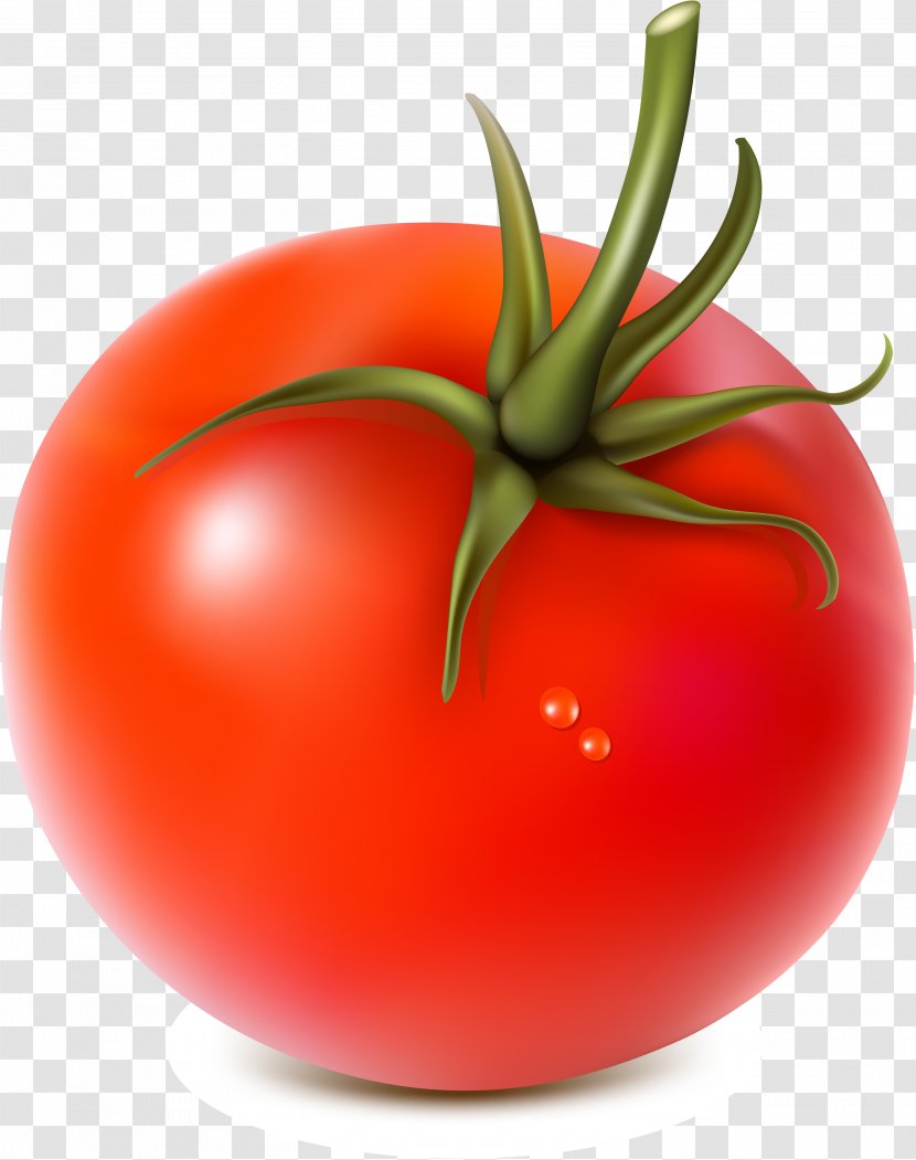 Vegetable Fruit Tomato Food - Potato And Genus - Gastrointestinal Transparent PNG