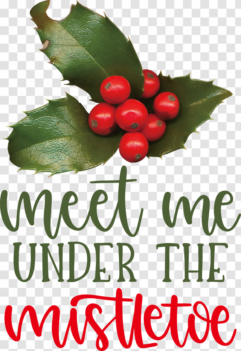 Meet Me Under The Mistletoe Mistletoe Transparent PNG