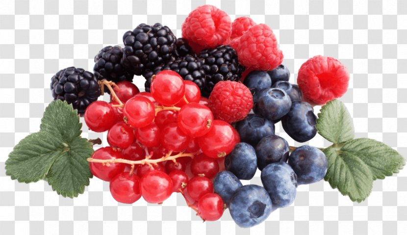 Tart Berry Juice - Diet Food - Blueberry Slice Transparent PNG