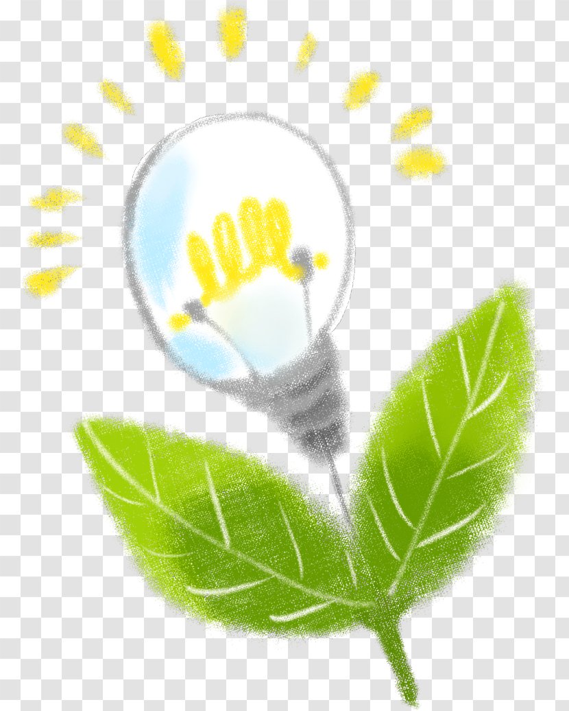 Incandescent Light Bulb Lighting - Hand Drawn Transparent PNG