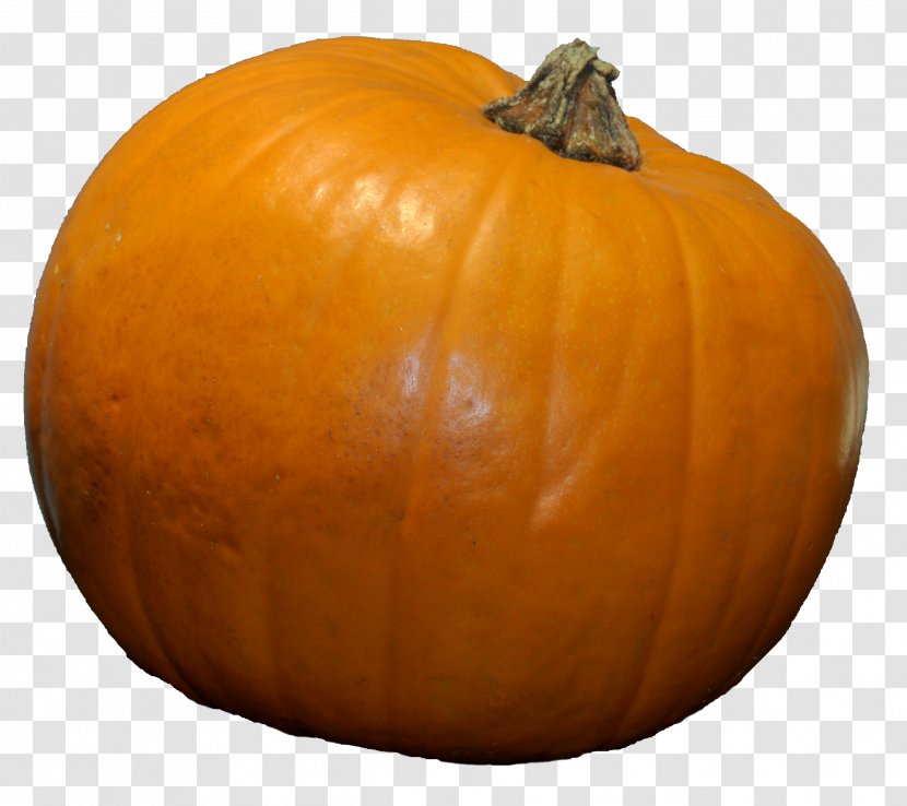 Jack-o'-lantern Pumpkin Gourd Winter Squash Cucurbita - Desktop Computers Transparent PNG