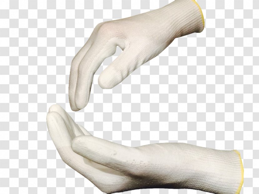 Thumb Cut-resistant Gloves Hand Excoriation - Tree Transparent PNG