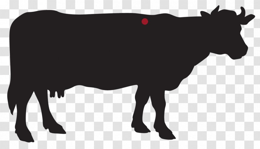 Holstein Friesian Cattle Jersey Dairy Farming - Rib Eye Steak Transparent PNG