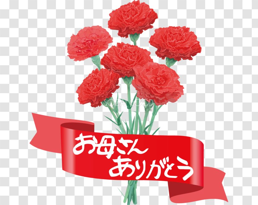 Carnation Garden Roses Mother's Day Floral Design Cut Flowers - Flower - Mothers Transparent PNG
