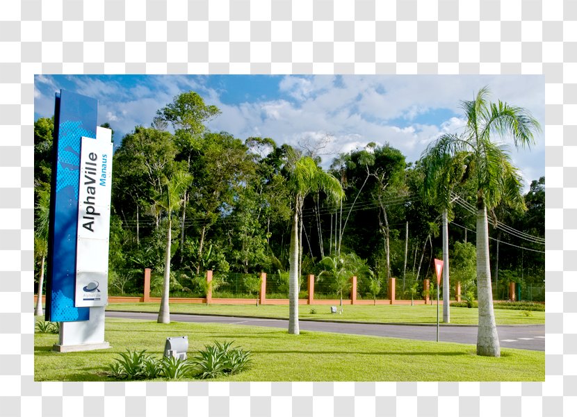 Landscaping Property Land Lot Urban Design Campus - Real Estate Transparent PNG