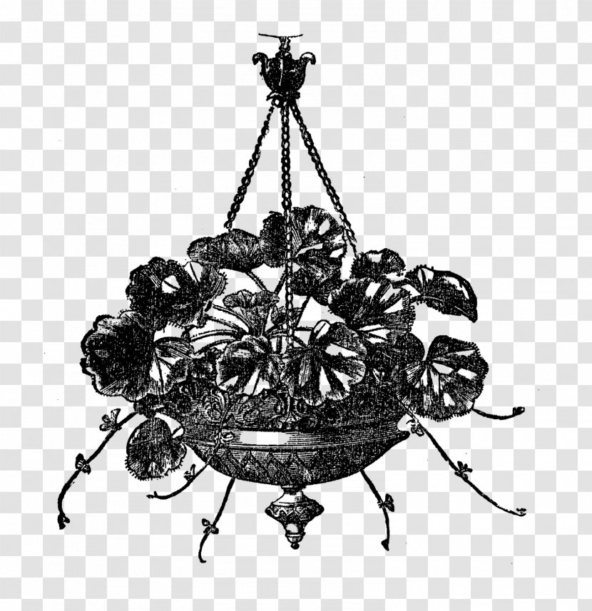 Royalty-free Victorian Era Black And White Clip Art - Public Domain - Hanging Flower Transparent PNG
