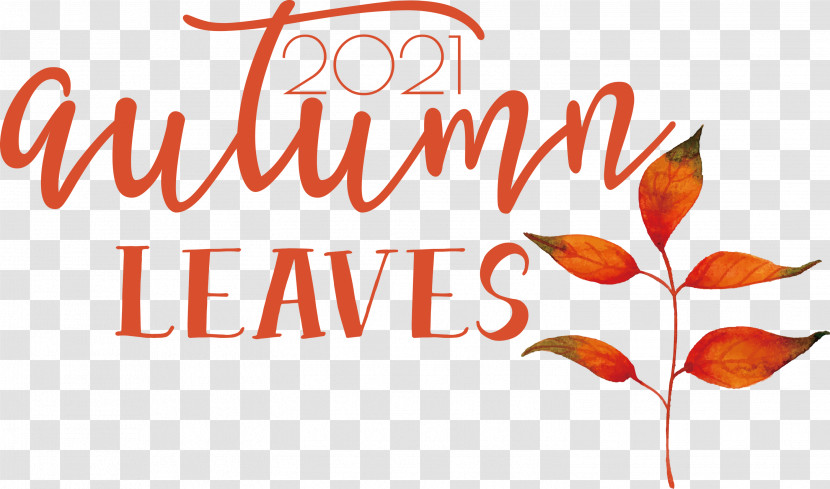 Autumn Leaves Autumn Fall Transparent PNG