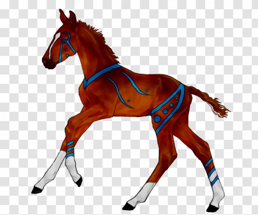 Horse Foal Mane Pony Halter - Saddle - Rein Transparent PNG