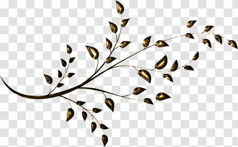 Twig Plant Stem Leaf Clip Art - Flora Transparent PNG