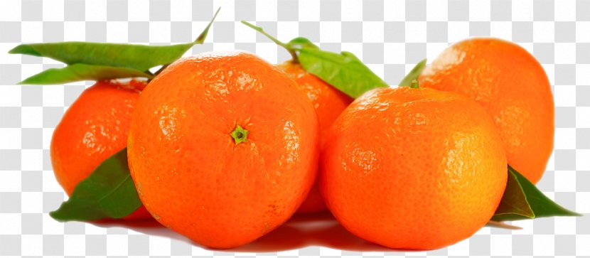 Tomato Organic Food Orange Tangerine - Potato And Genus Transparent PNG