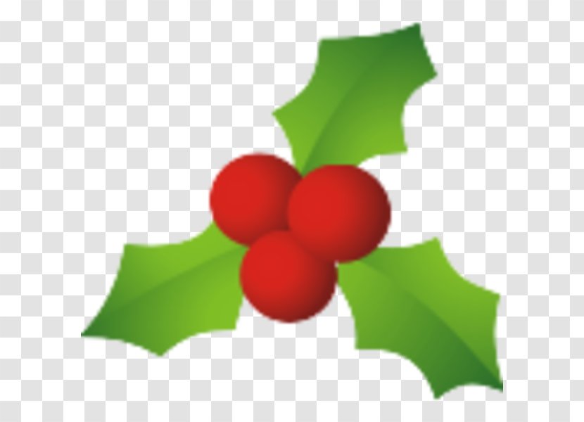 Common Holly Candy Cane Santa Claus Mistletoe Christmas - Aquifoliales - Cliparts Transparent PNG