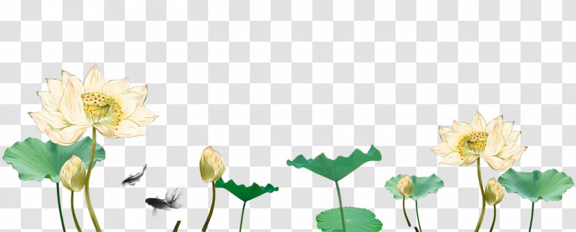 Graphic Design Template - Flora - Lotus Transparent PNG