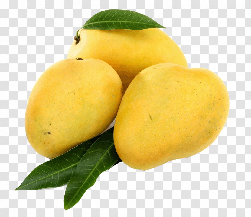 Banganapalle Juice Alphonso Benishan Mango - Aamras Transparent PNG