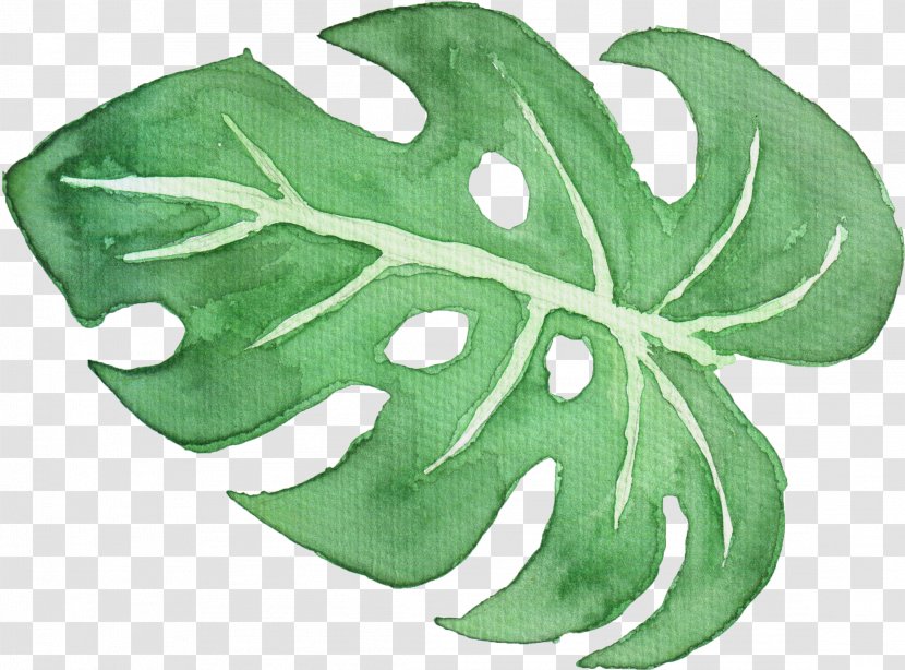 Green Leaf Watercolor - Painting - Tree Symbol Transparent PNG