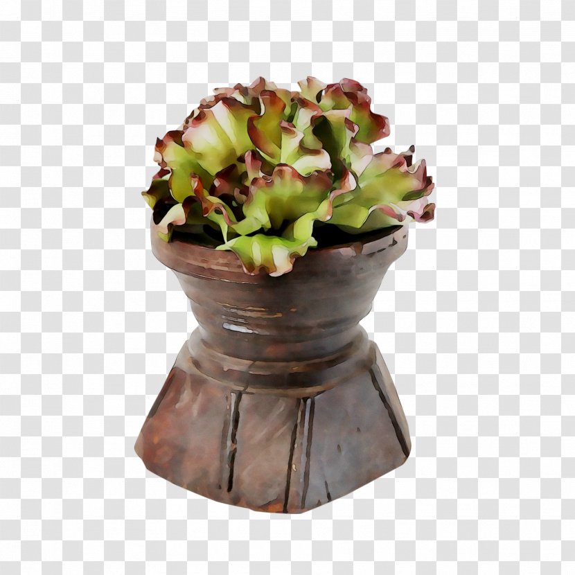 Flower - Plant - Flowerpot Transparent PNG