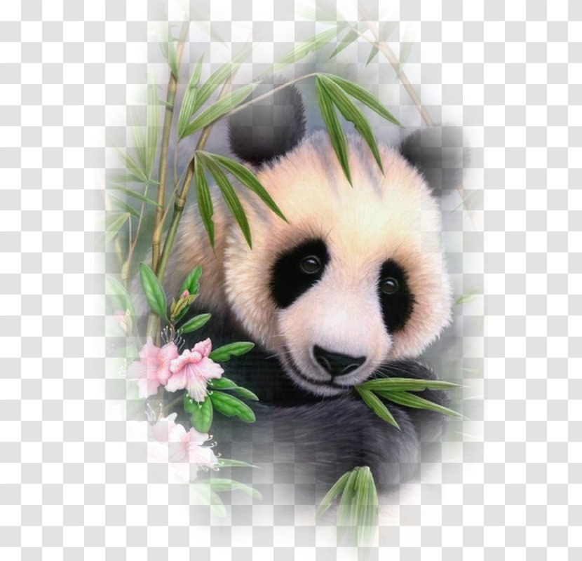 Giant Panda Bear Embroidery & Cross Stitch Cross-stitch Transparent PNG