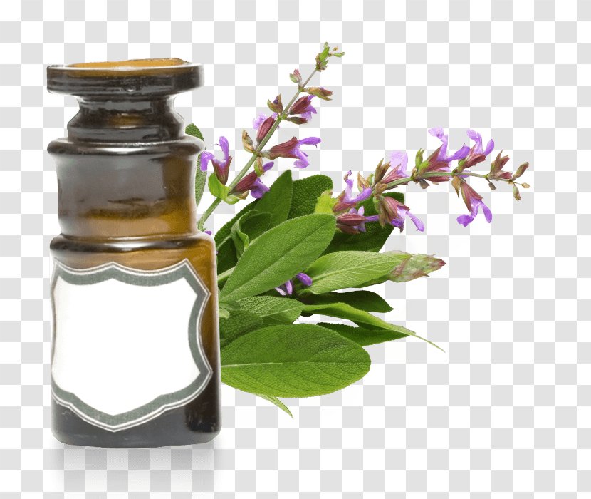 Clary Herb Essential Oil Rosemary - Glass Bottle - Salvia Sclarea Transparent PNG