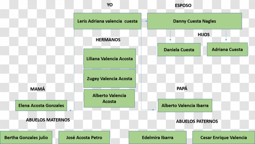 Project Manuel Carlos Martí Font Life - Family Tree - Arbol De La Vida Transparent PNG