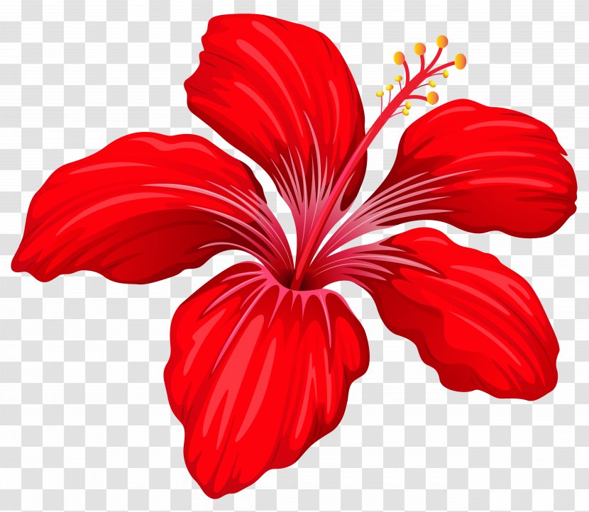 Flower Red Clip Art - Seed Plant - Exotic Image Transparent PNG