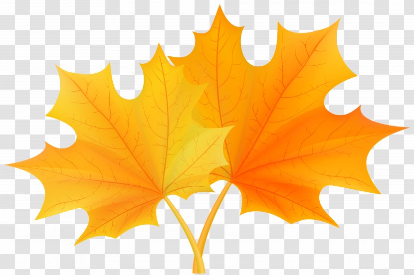 Autumn Leaf Color Clip Art - Orange Frozen Yogurt - Fall Leaves Transparent PNG