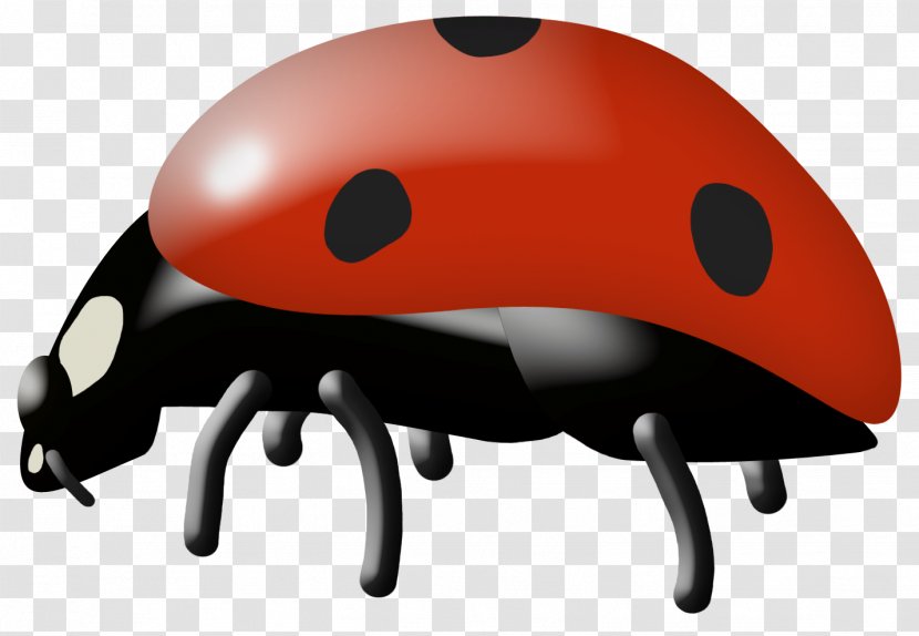 Insect Ladybird Cartoon Clip Art - Protective Gear In Sports - Ladybug Transparent PNG