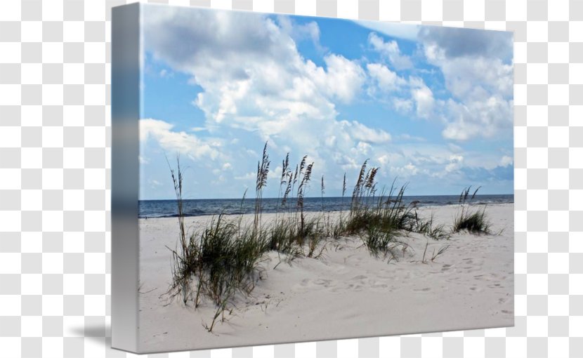 Gallery Wrap Picture Frames Wind Sand Canvas Transparent PNG