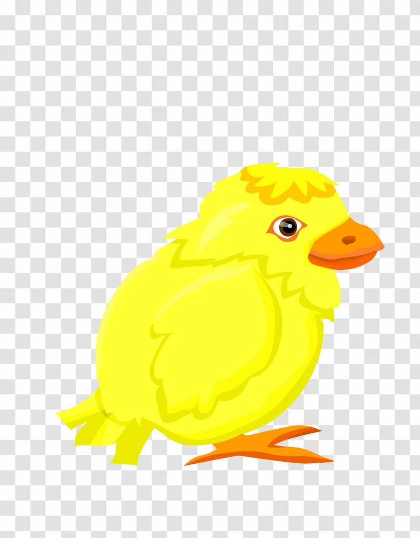 Duck Bubble Chicken Clip Art - Vector Yellow Side Face Chick Transparent PNG