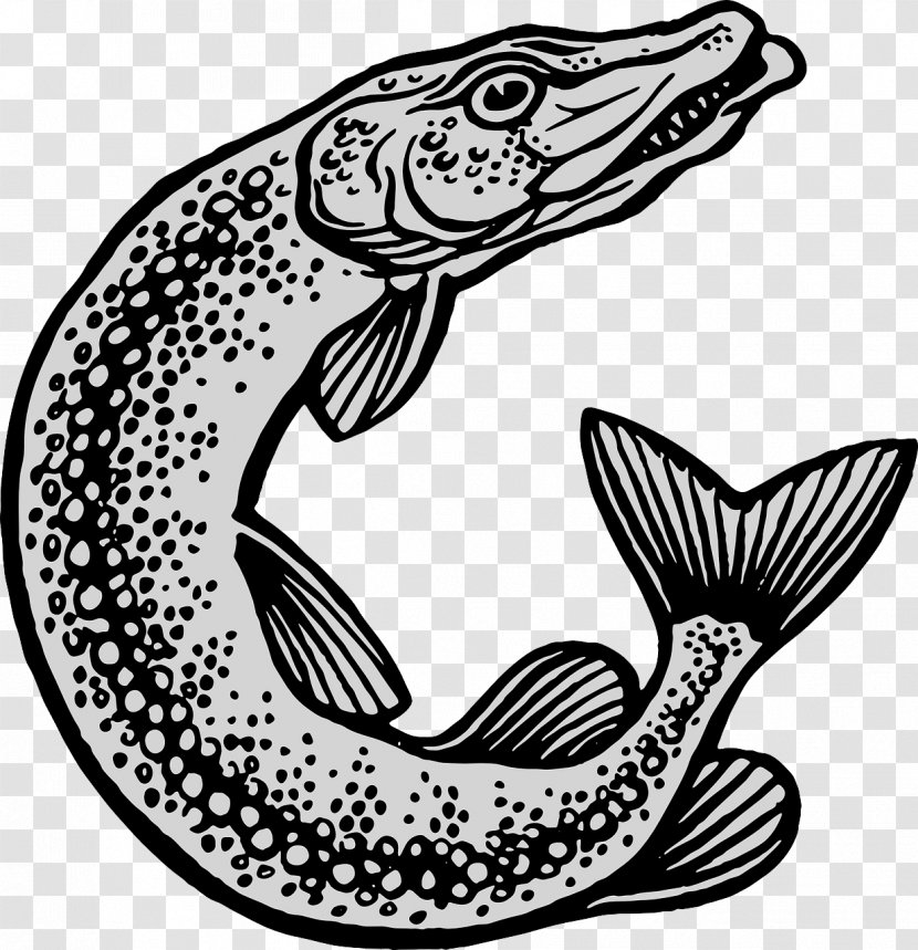 Northern Pike Muskellunge Drawing Fishing Clip Art - Tiger - Fisch Transparent PNG