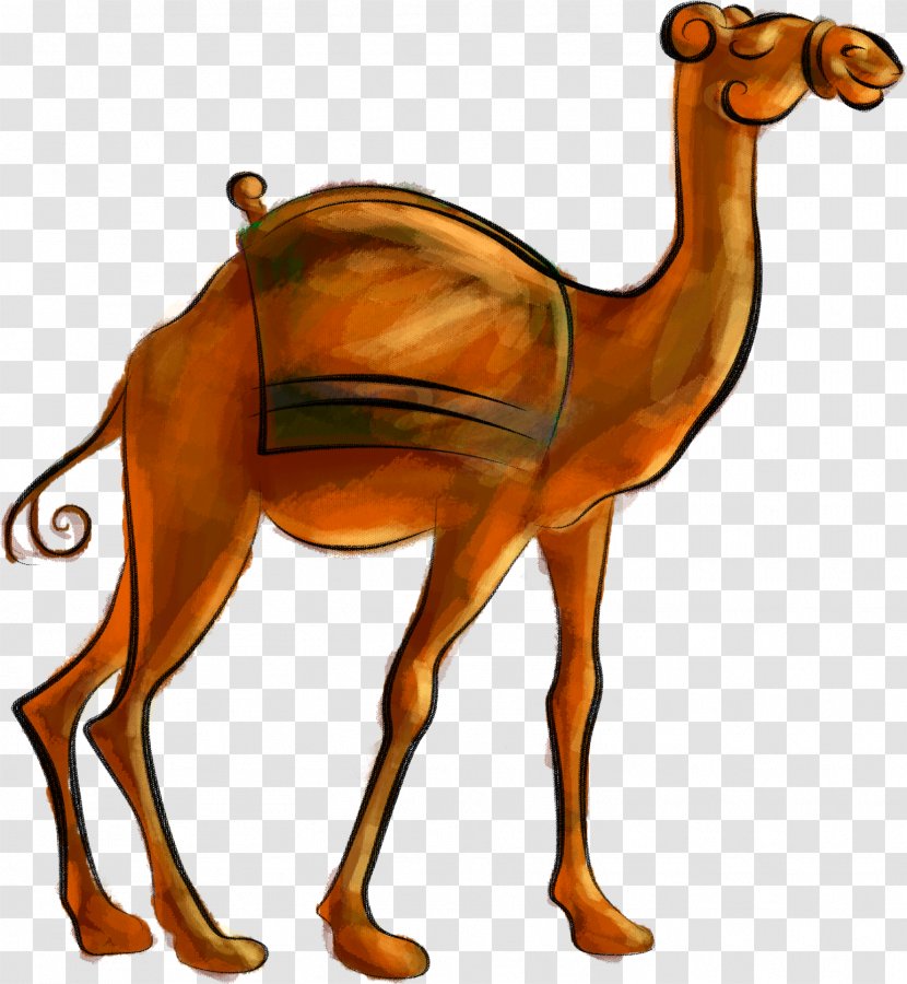 Camel Desert - Drawing Transparent PNG