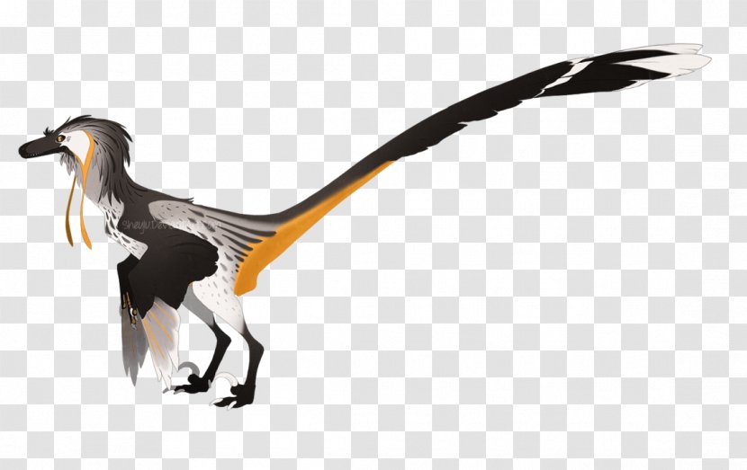 Velociraptor Bird Utahraptor Deinonychus Yutyrannus - Wildlife Transparent PNG