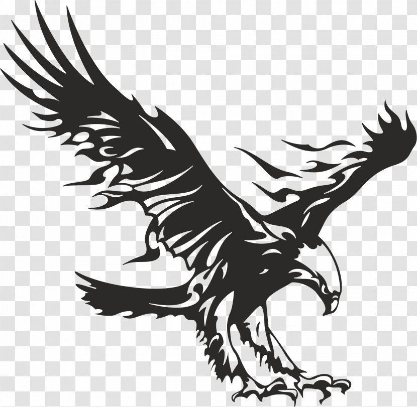 Wall Decal Car Bumper Sticker - Fauna - American Eagle Transparent PNG