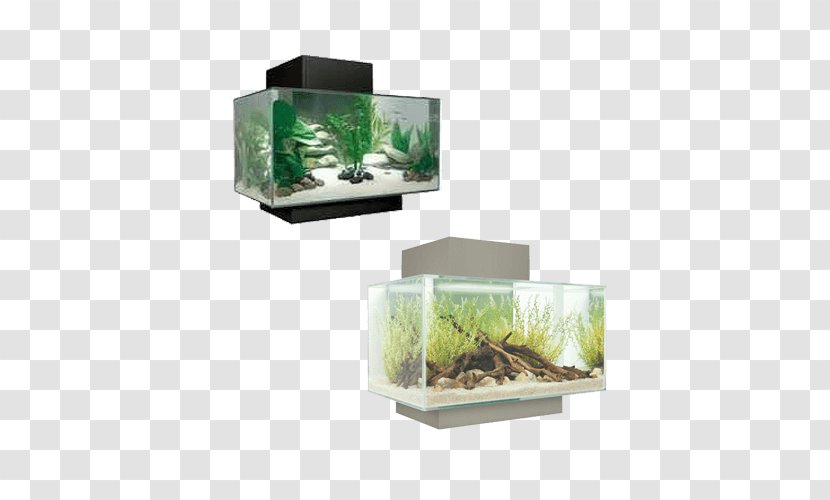 Aquariums Fluval Edge Nano Aquarium Filters - Fishkeeping Transparent PNG