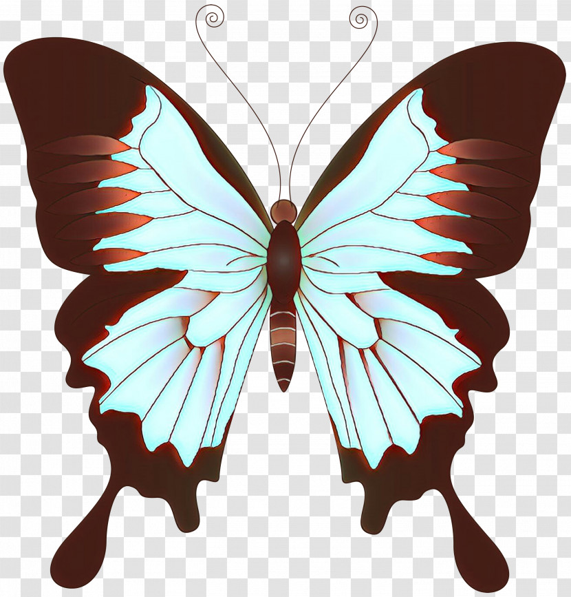 Moths And Butterflies Butterfly Insect Wing Swallowtail Butterfly Transparent PNG