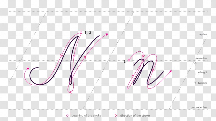 Brand Logo Line Font - Heart - Thank You Calligraphy Transparent PNG