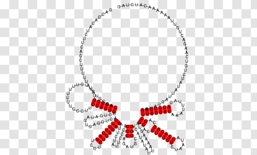 Necklace Line Point Body Jewellery Transparent PNG