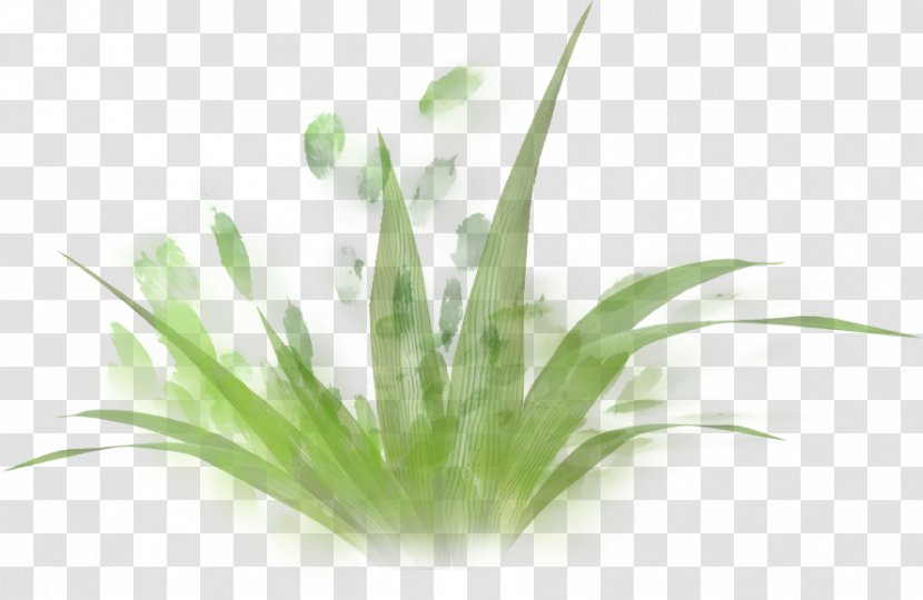 Painted Green Grass - Watercolor Painting - Resource Transparent PNG