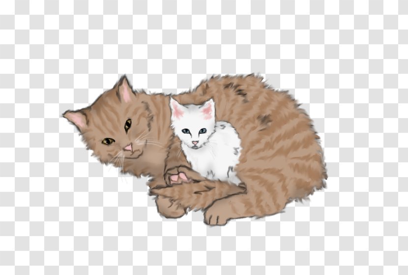 Kitten Domestic Short-haired Cat Warriors Speckletail - Wild Transparent PNG