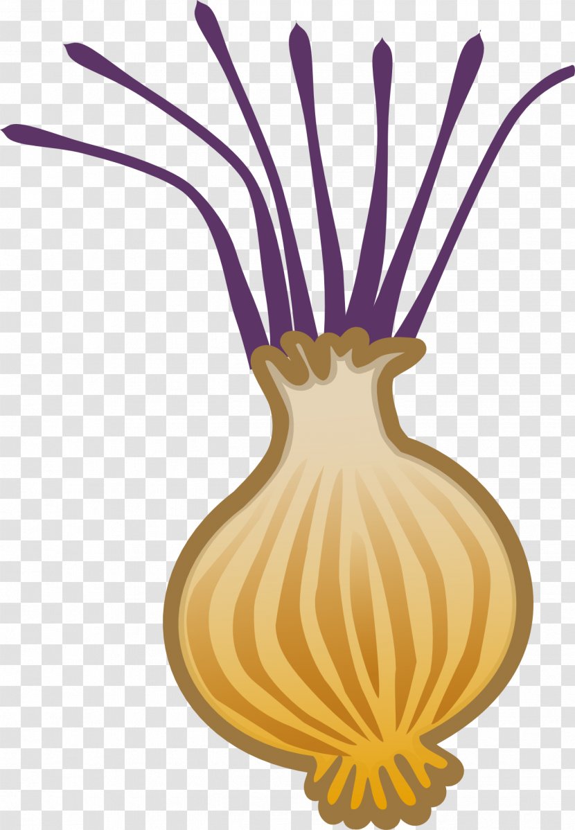 Vegetable Free Content Clip Art - Royaltyfree - Personalized Garlic Transparent PNG