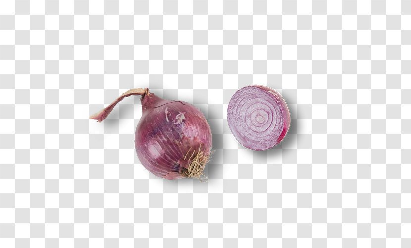 Red Onion Shallot Icon - Genus Transparent PNG