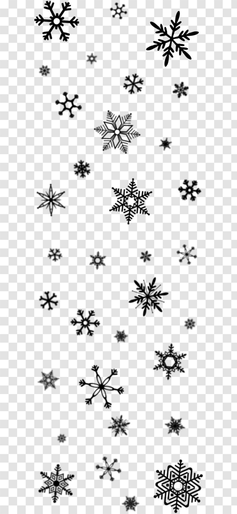 Snowflake Cartoon - Point - Pedicel Blackandwhite Transparent PNG