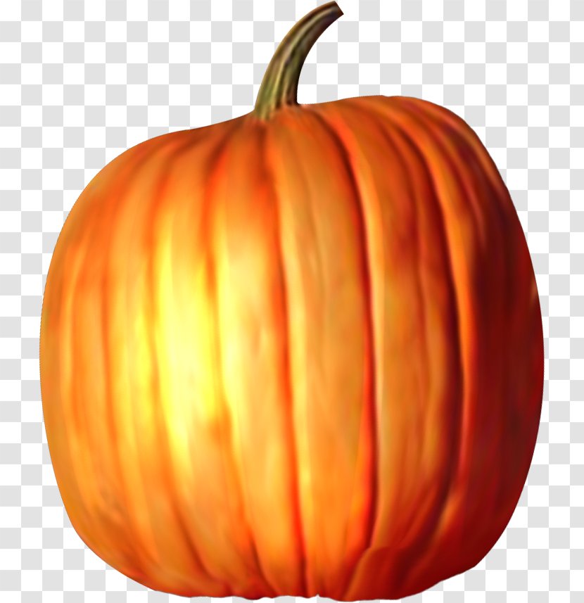Jack-o-lantern Calabaza Pumpkins & Squashes Winter Squash - Transparency And Translucency - Pumpkin Transparent PNG