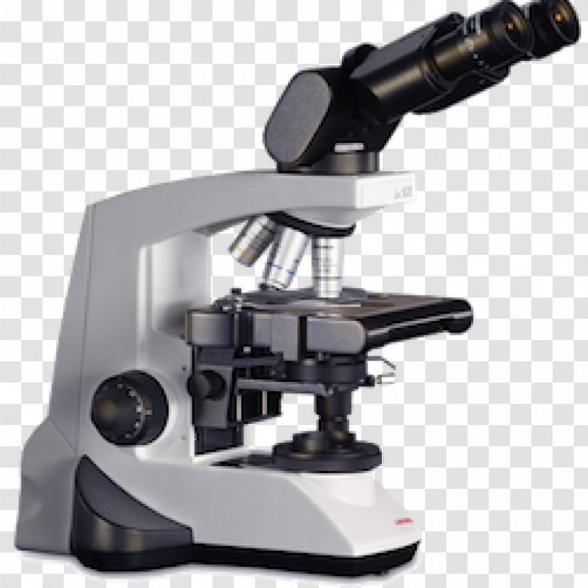 Optical Microscope Optics Operating Phase Contrast Microscopy - Optische Abbildung Transparent PNG