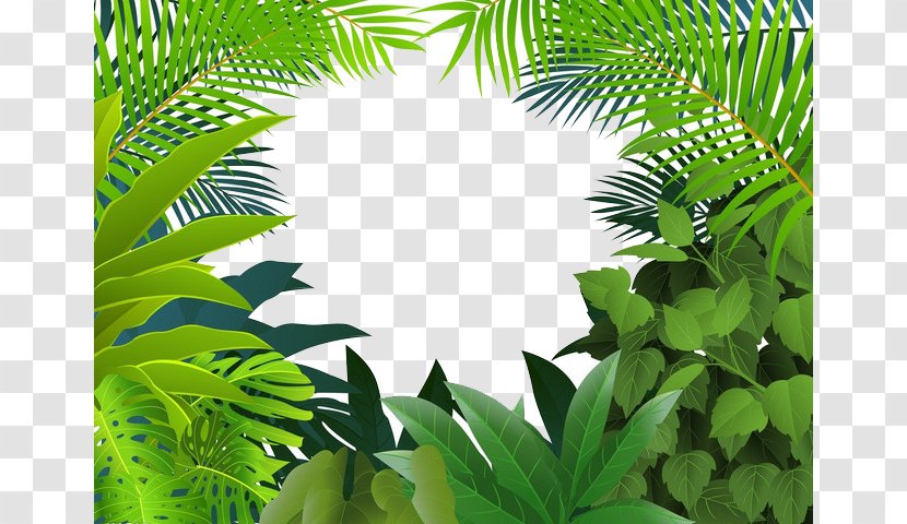 Tropical Rainforest Jungle Tropics Clip Art - Yin Green Grass Transparent PNG