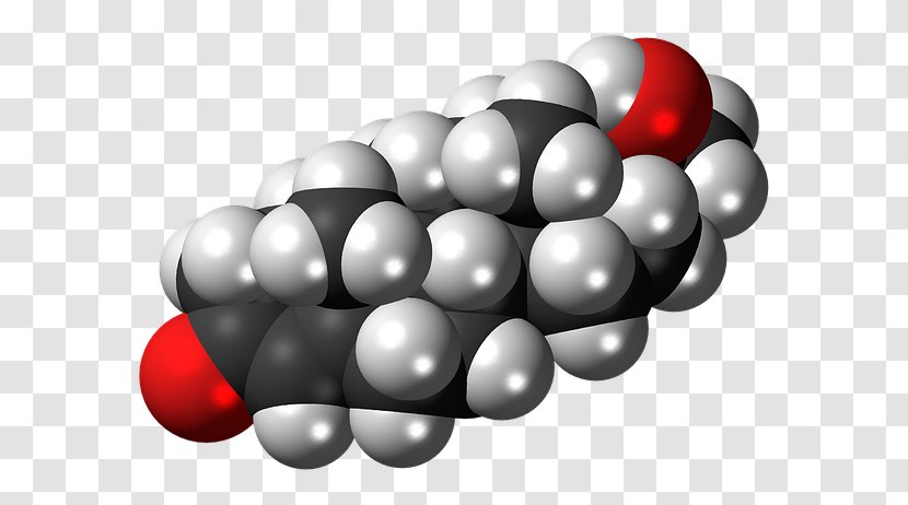 Cortisol Steroid Hormone 20-Hydroxyecdysone - Anabolism - Dmt The Spirit Molecule Transparent PNG