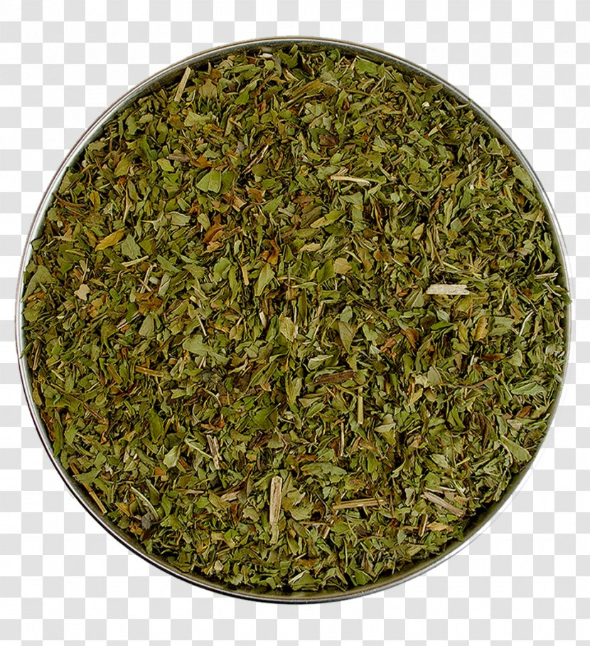 Nilgiri Tea Peppermint Biluochun Chun Mee - Green Transparent PNG