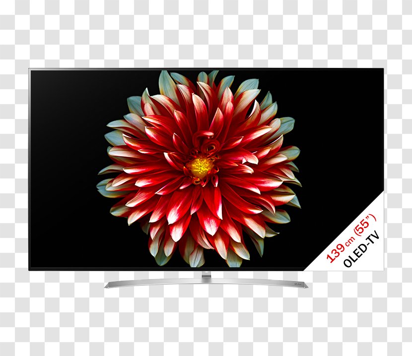 OLED 4K Resolution Smart TV Ultra-high-definition Television - Lg Electronics - HDR Transparent PNG
